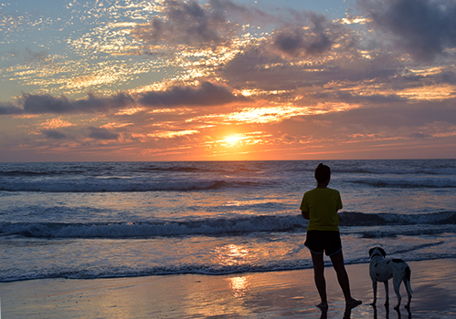 sunset, beach, illumination, clouds, California, dog beach, Del Mar, ocean, coast